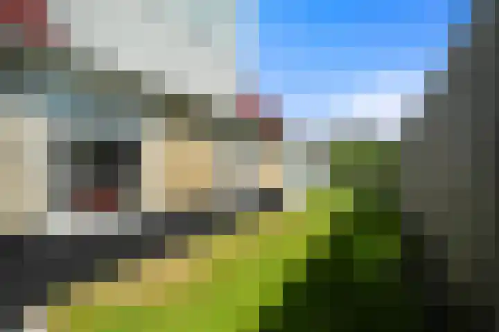 Seringenlaan 5 Hippolytushoef thumbnail 29