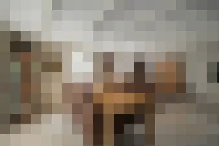Seringenlaan 5 Hippolytushoef thumbnail 8