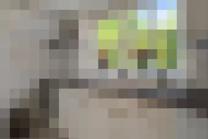 Seringenlaan 5 Hippolytushoef thumbnail 9