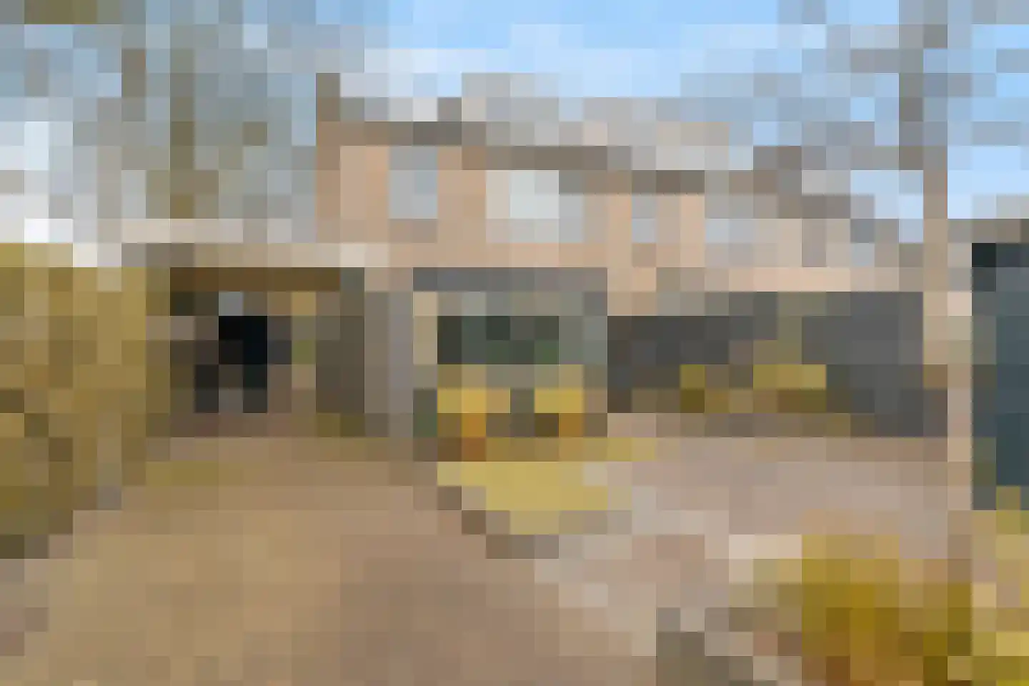 Seringenlaan 5 Hoevelaken
