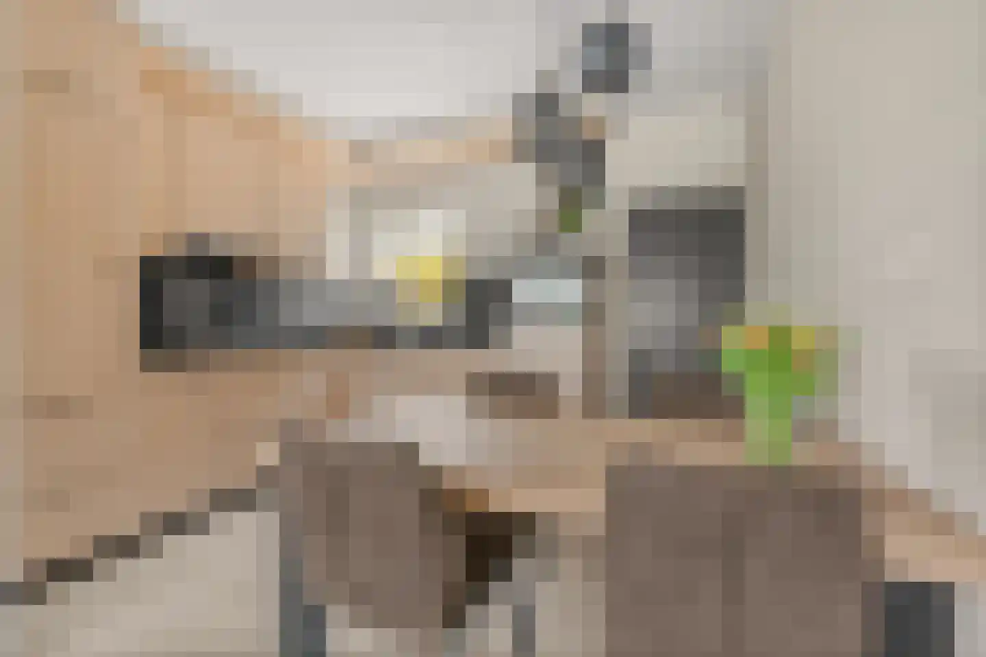 Seringenlaan 5 Hoevelaken thumbnail 12