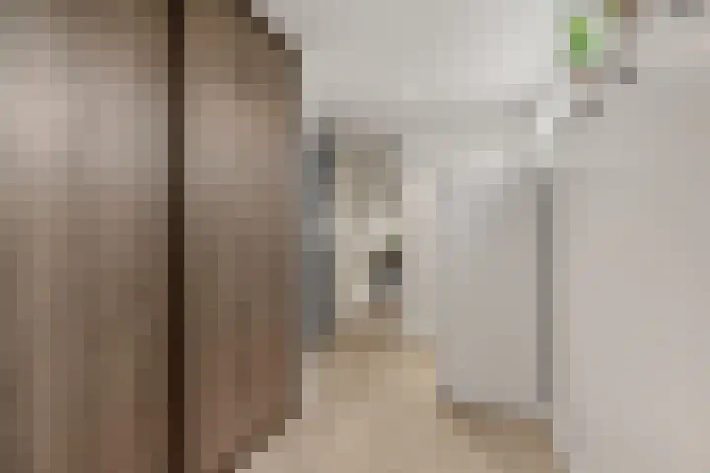 Seringenlaan 5 Hoevelaken thumbnail 13
