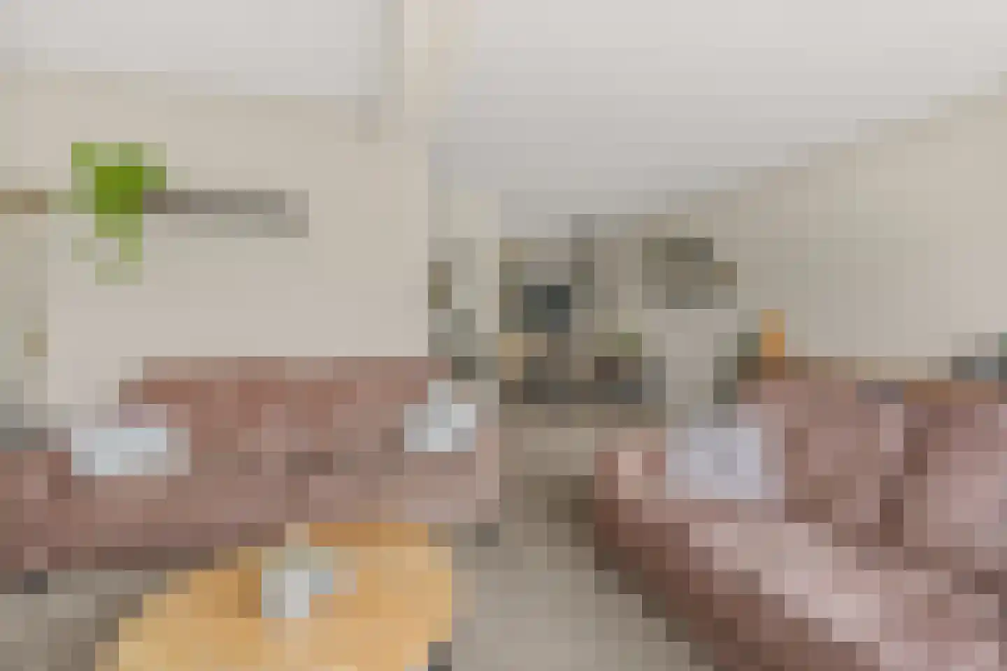 Seringenlaan 5 Hoevelaken thumbnail 8
