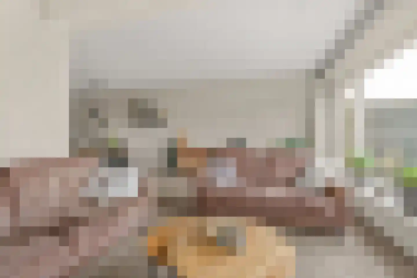 Seringenlaan 5 Hoevelaken thumbnail 9