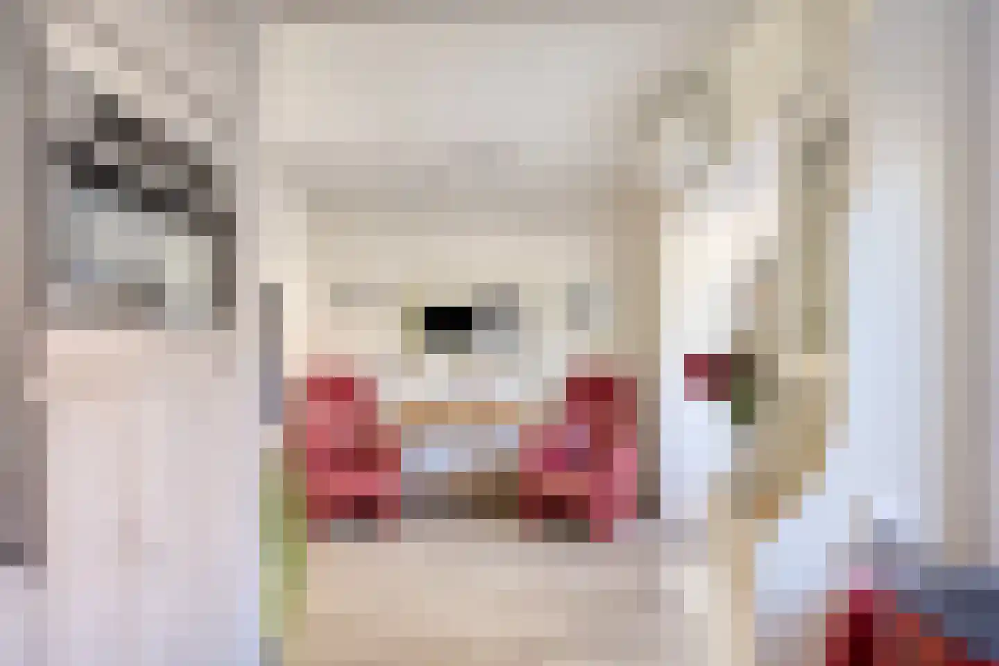Seringenlaan 5 Pijnacker thumbnail 11