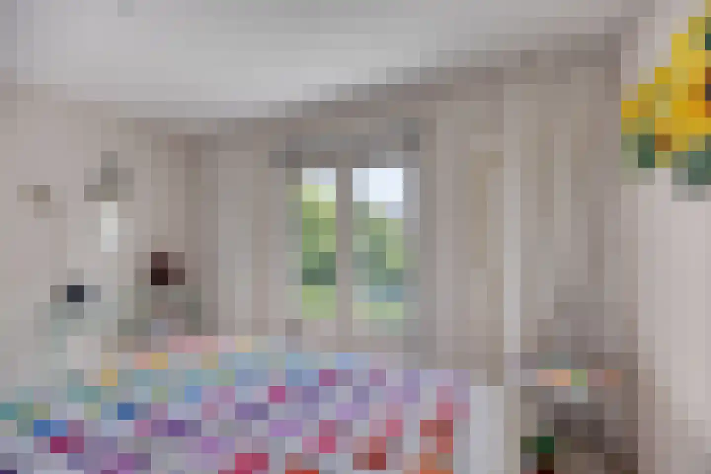 Seringenlaan 5 Pijnacker thumbnail 15