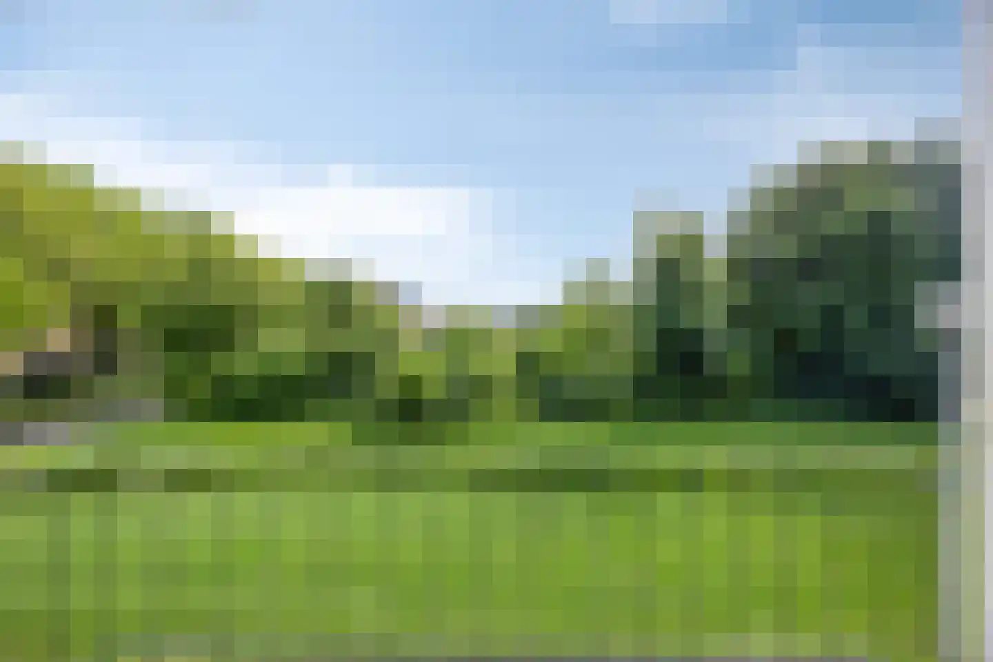 Seringenlaan 5 Pijnacker thumbnail 17