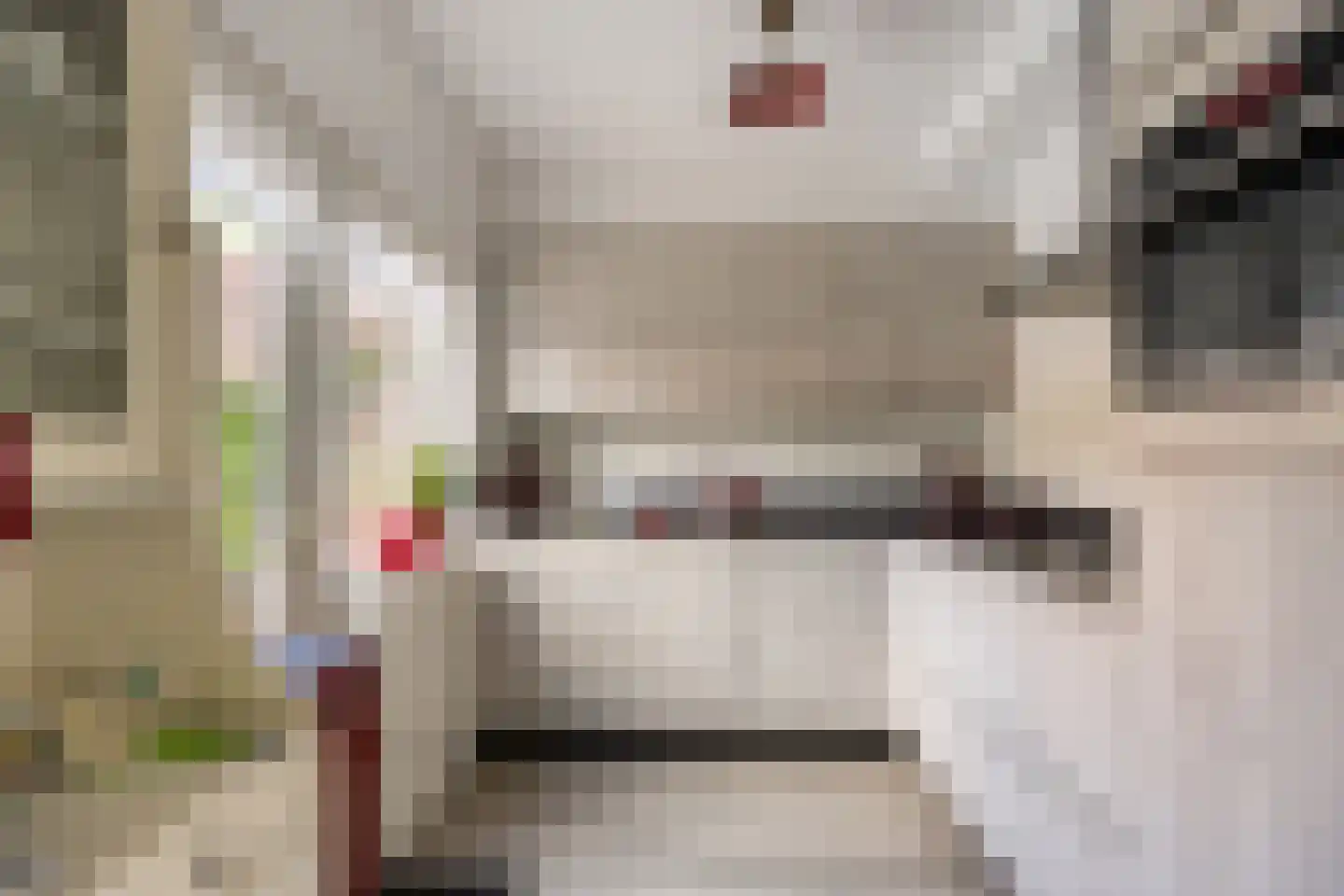 Seringenlaan 5 Pijnacker thumbnail 4