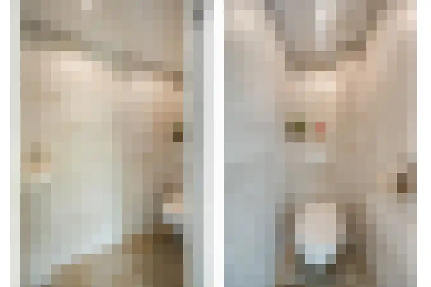 Seringenlaan 5 Pijnacker thumbnail 8