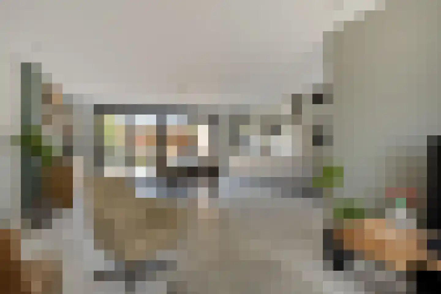 Seringenlaan 50 Steenbergen thumbnail 12