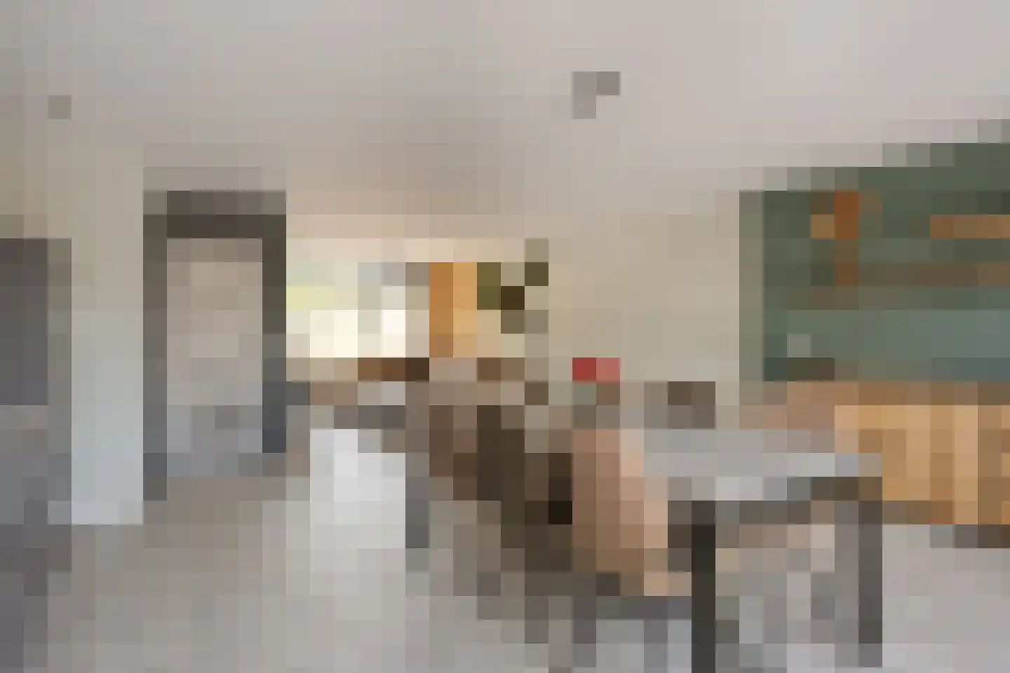 Seringenlaan 50 Steenbergen thumbnail 15