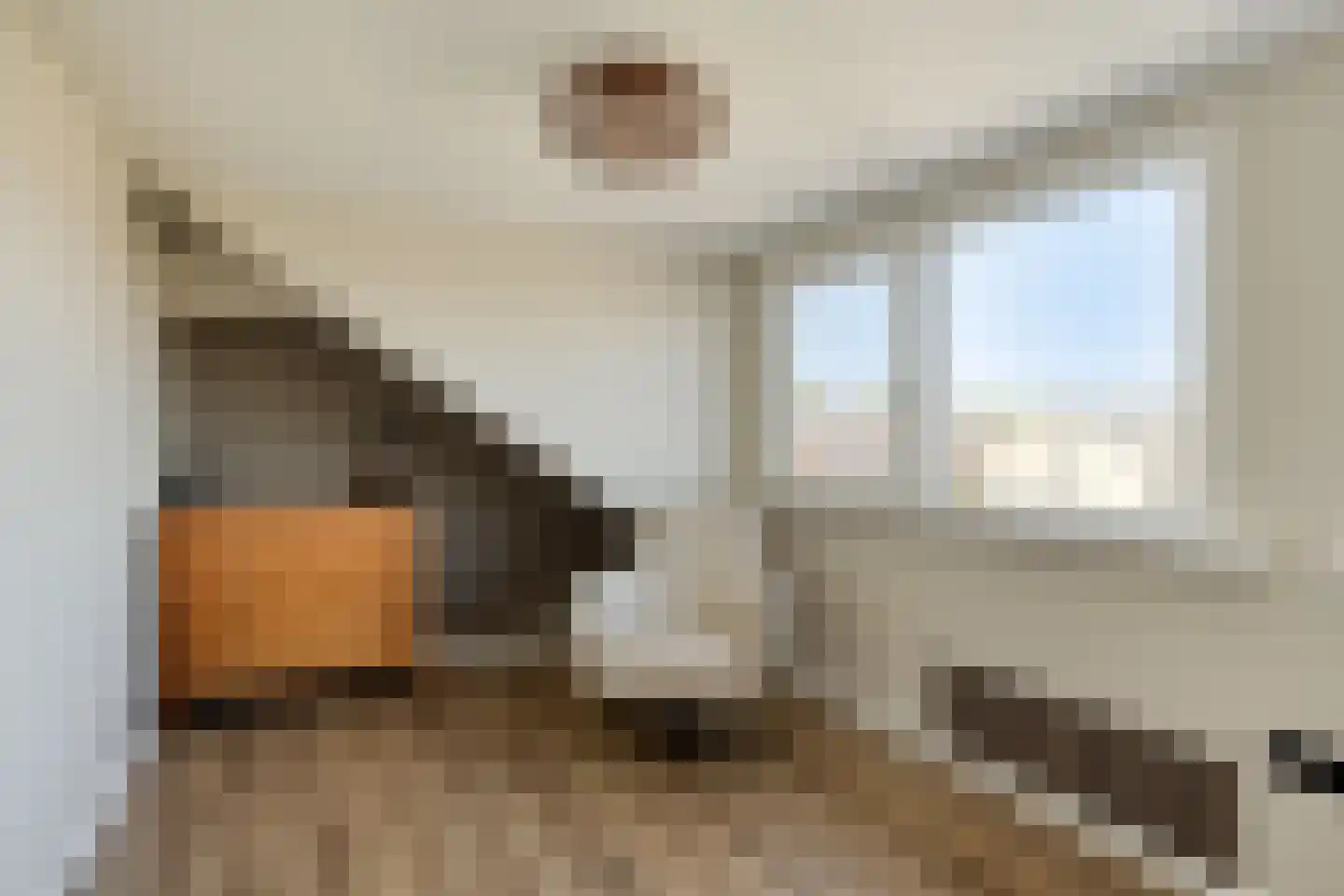 Seringenlaan 50 Steenbergen thumbnail 29