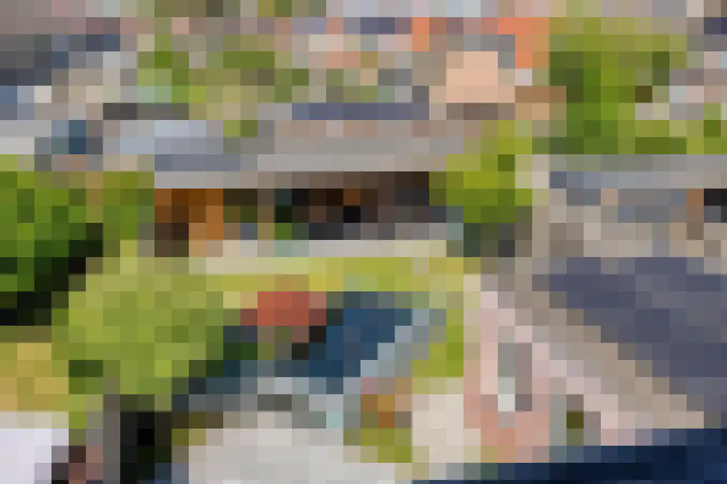 Seringenlaan 50 Steenbergen thumbnail 35