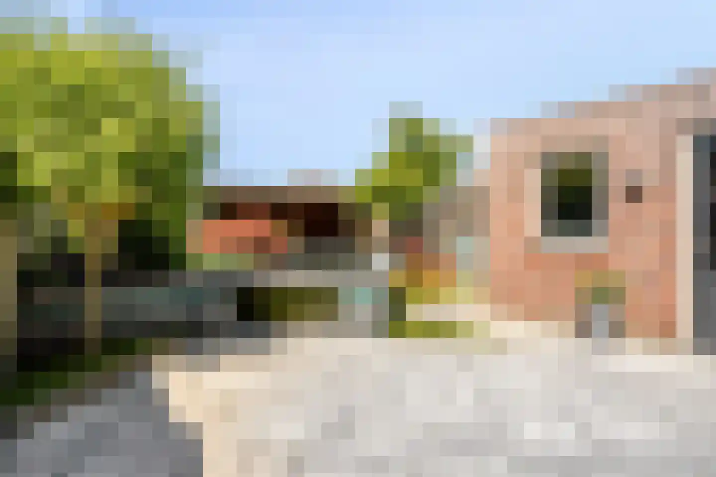 Seringenlaan 50 Steenbergen thumbnail 41