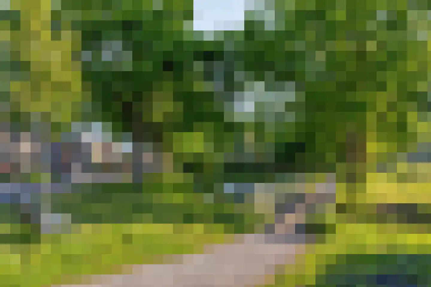 Seringenlaan 50 Steenbergen thumbnail 50
