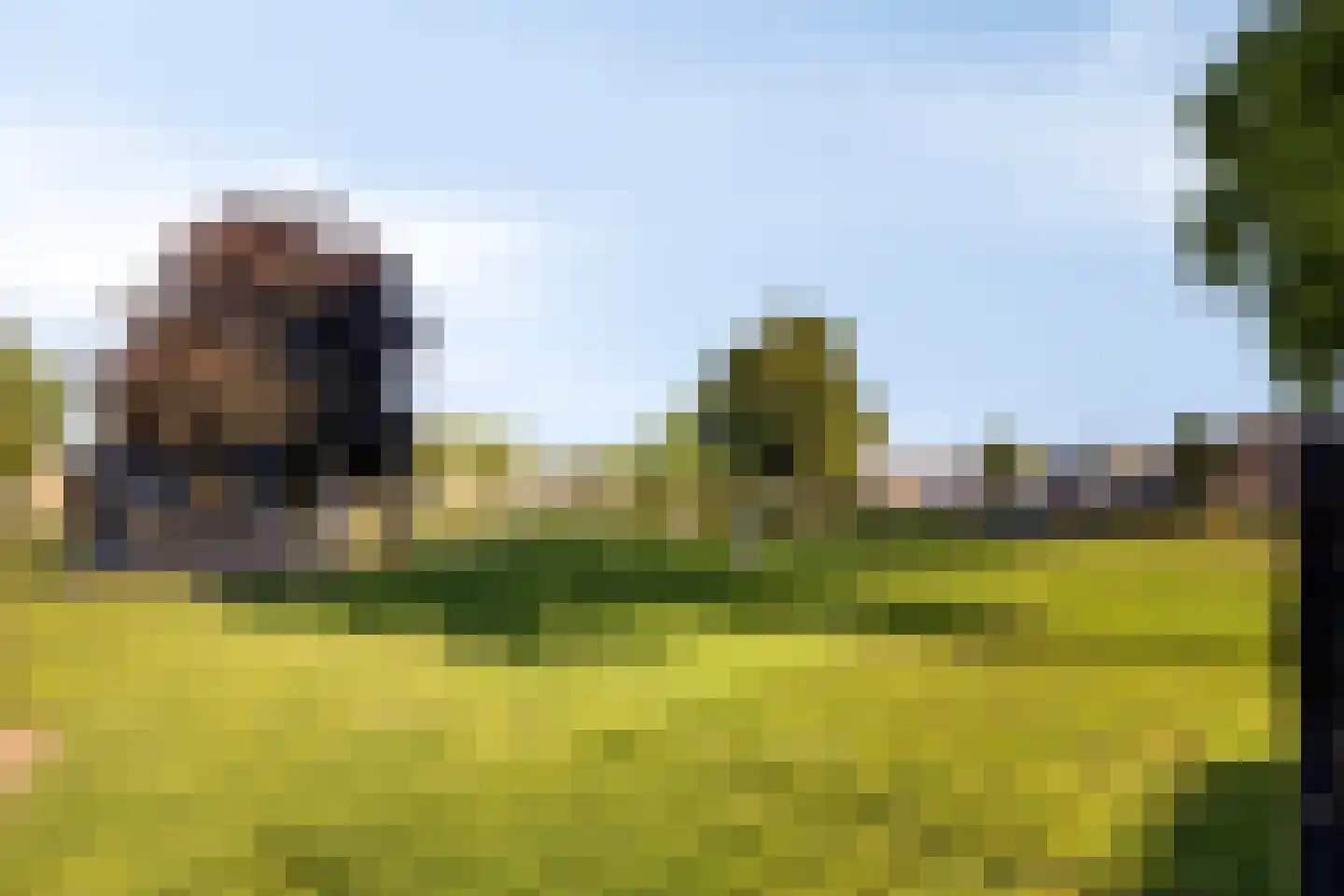 Seringenlaan 50 Steenbergen thumbnail 52