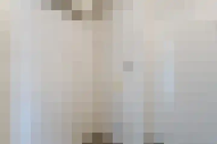 Seringenlaan 6 Nijkerk thumbnail 26