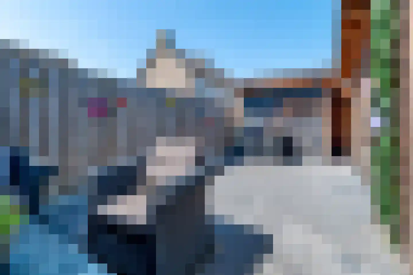 Seringenlaan 60 Steenbergen thumbnail 12