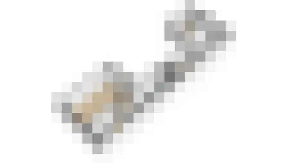 Seringenlaan 60 Steenbergen thumbnail 38