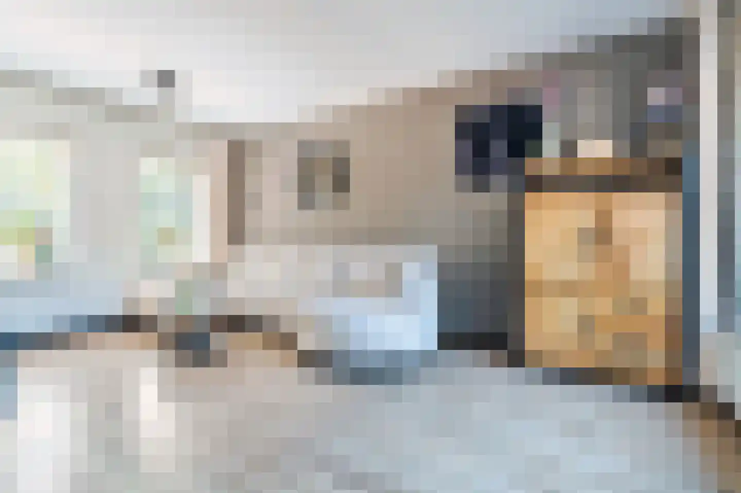 Seringenlaan 60 Steenbergen thumbnail 4