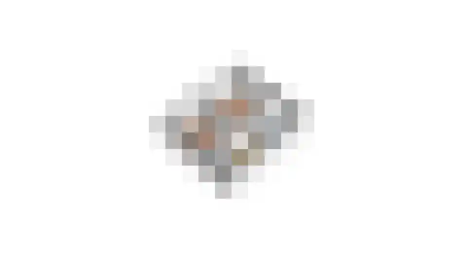 Seringenlaan 60 Steenbergen thumbnail 41