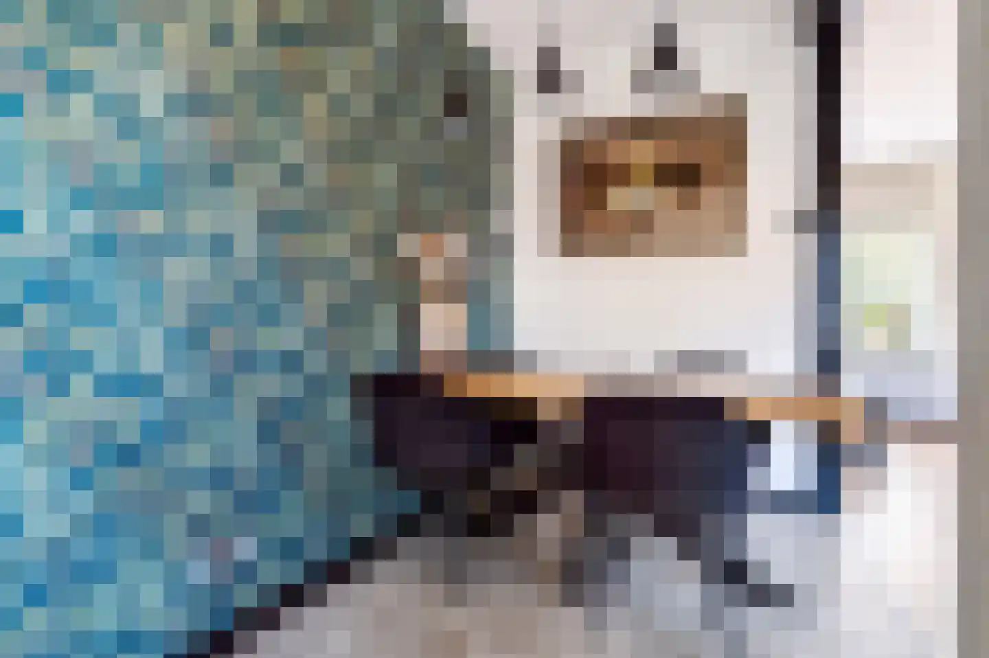 Seringenlaan 60 Steenbergen thumbnail 8