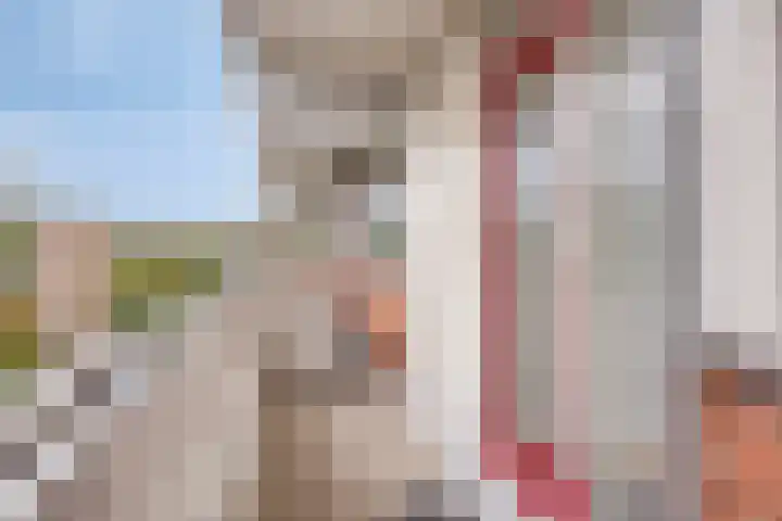 Seringenlaan 62 Wassenaar thumbnail 10