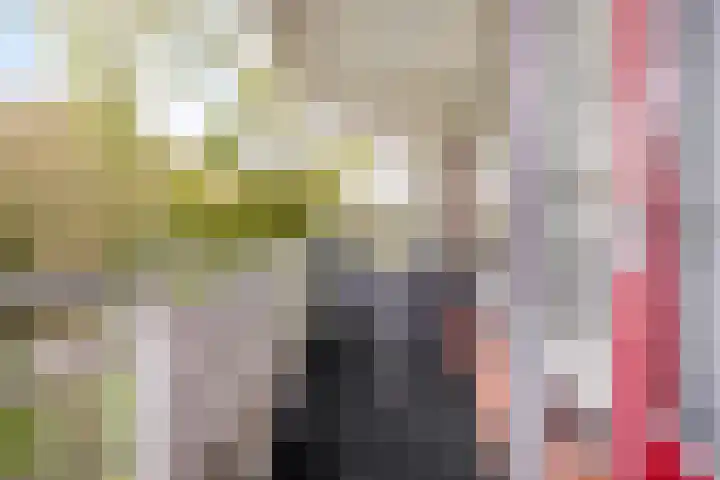 Seringenlaan 62 Wassenaar thumbnail 17