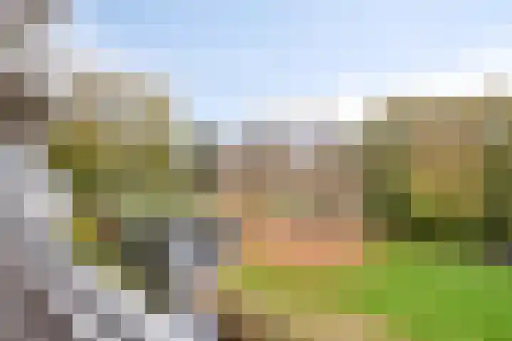 Seringenlaan 62 Wassenaar thumbnail 18