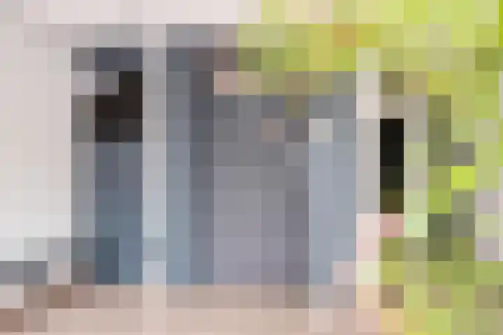 Seringenlaan 62 Wassenaar thumbnail 9
