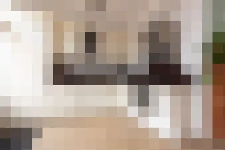 Seringenlaan 7 Nijkerk thumbnail 19