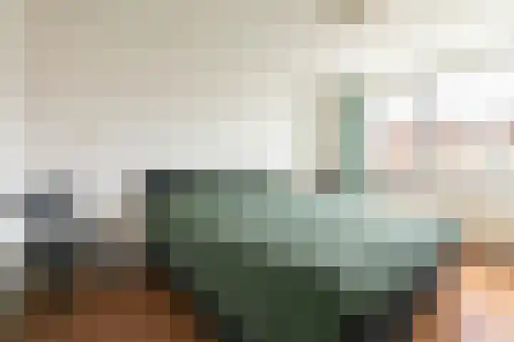 Seringenlaan 7 Nijkerk thumbnail 23