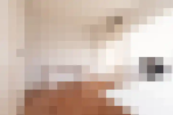 Seringenlaan 7 Nijkerk thumbnail 25