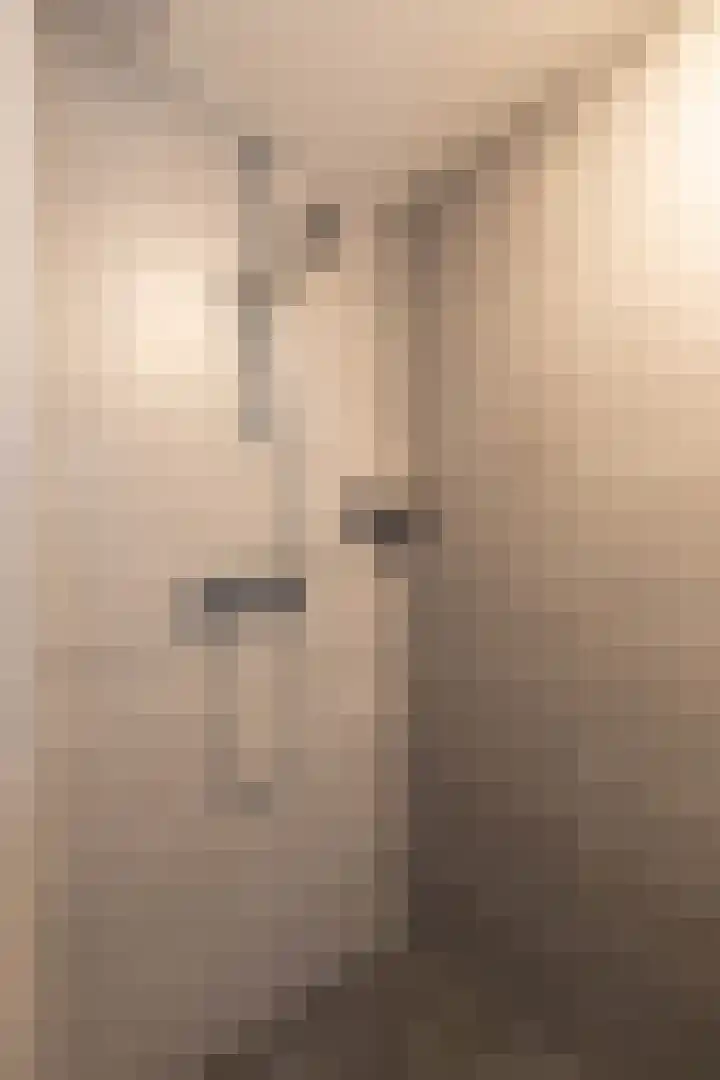 Seringenlaan 7 Nijkerk thumbnail 30