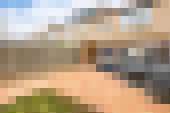 Seringenlaan 7 Nijkerk thumbnail 4