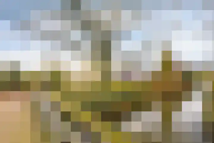 Seringenlaan 7 Nijkerk thumbnail 43