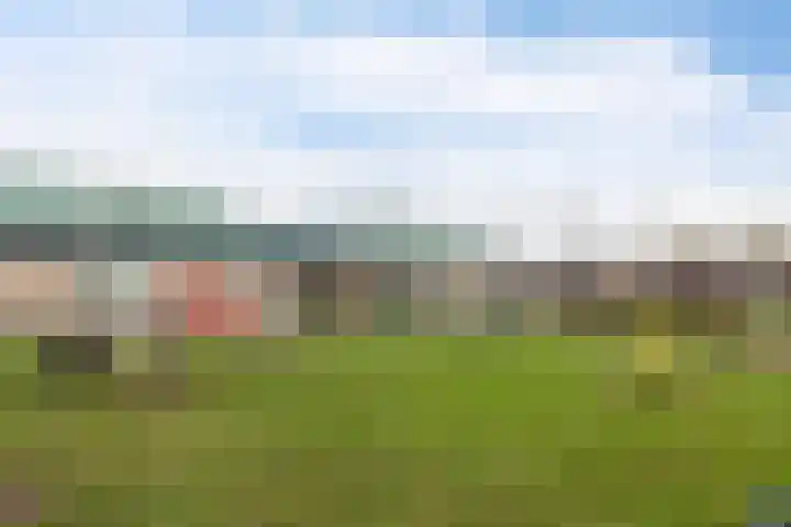 Seringenlaan 7 Nijkerk thumbnail 44