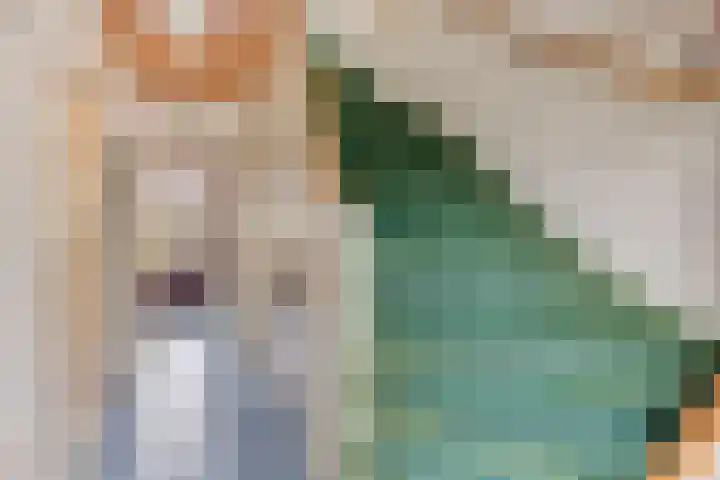 Seringenlaan 7 Pijnacker thumbnail 11
