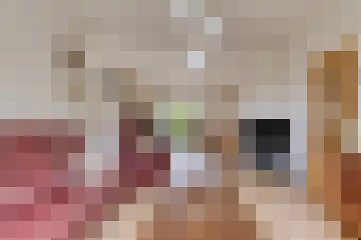 Seringenlaan 7 Pijnacker thumbnail 14