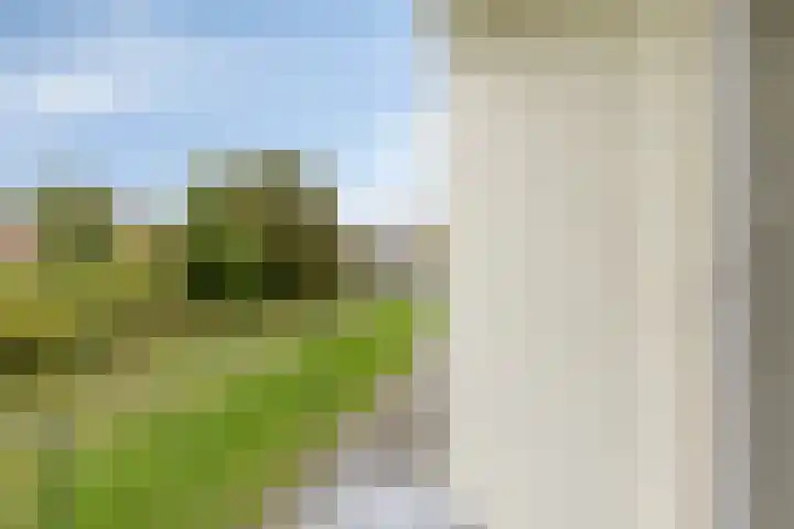 Seringenlaan 7 Pijnacker thumbnail 26