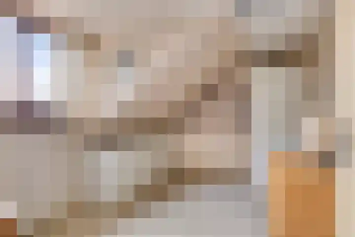Seringenlaan 7 Pijnacker thumbnail 32