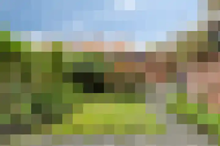 Seringenlaan 7 Pijnacker thumbnail 35