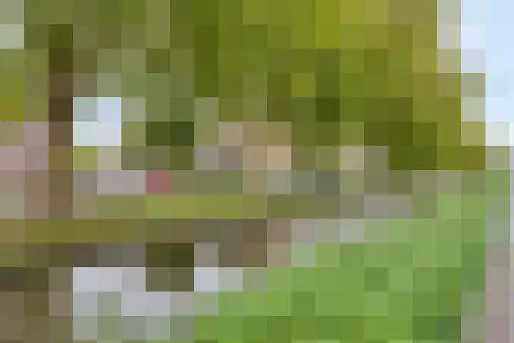 Seringenlaan 7 Pijnacker thumbnail 39