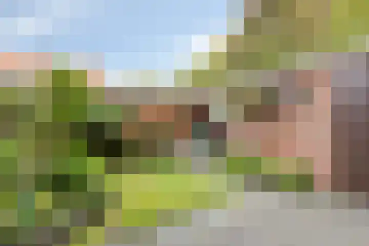 Seringenlaan 7 Pijnacker thumbnail 4