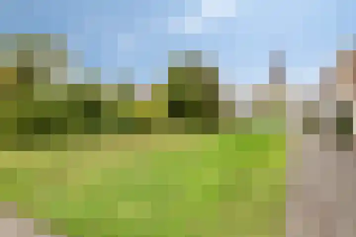 Seringenlaan 7 Pijnacker thumbnail 40