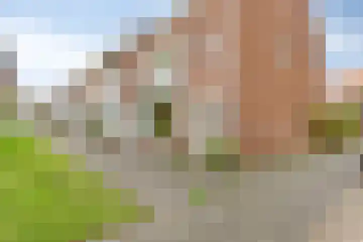 Seringenlaan 7 Pijnacker thumbnail 5