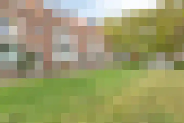 Seringenlaan 7 Pijnacker thumbnail 7