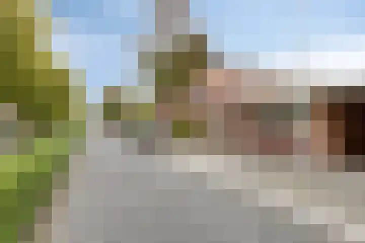 Seringenlaan 7 Pijnacker thumbnail 8