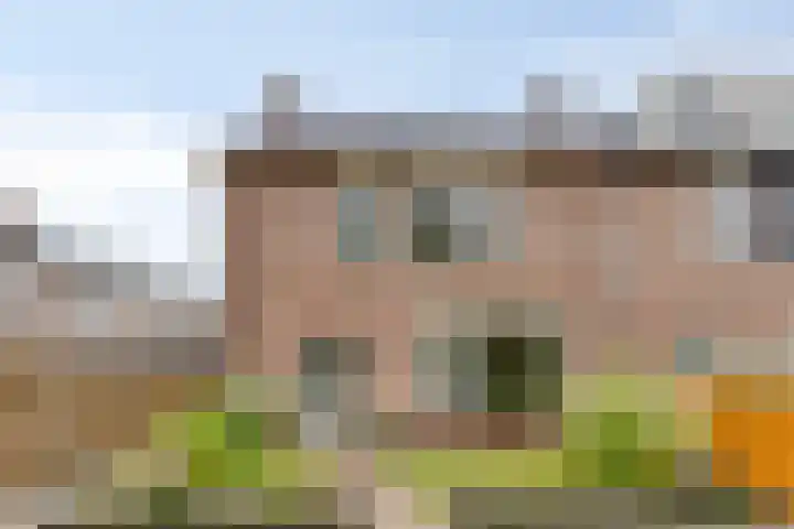 Seringenlaan 82 Steenbergen