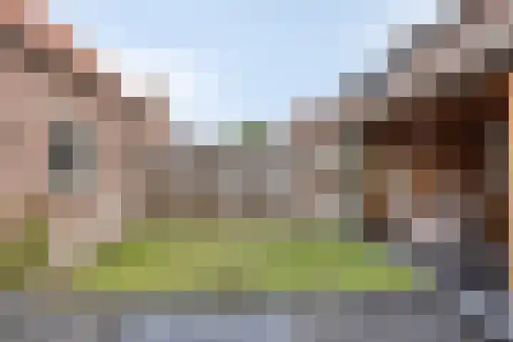 Seringenlaan 82 Steenbergen thumbnail 24